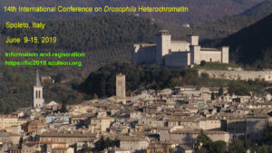 SPOLETO PANORAMA