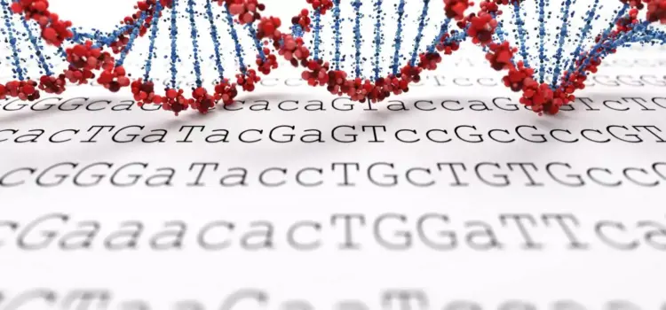 FISV PER I GIOVANI RICERCATORI. Genomica: tecnologie avanzate FISV PER I GIOVANI RICERCATORI. Genomica: tecnologie avanzate